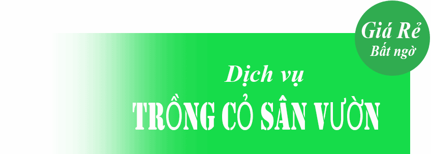 Trồng cỏ sân vườn