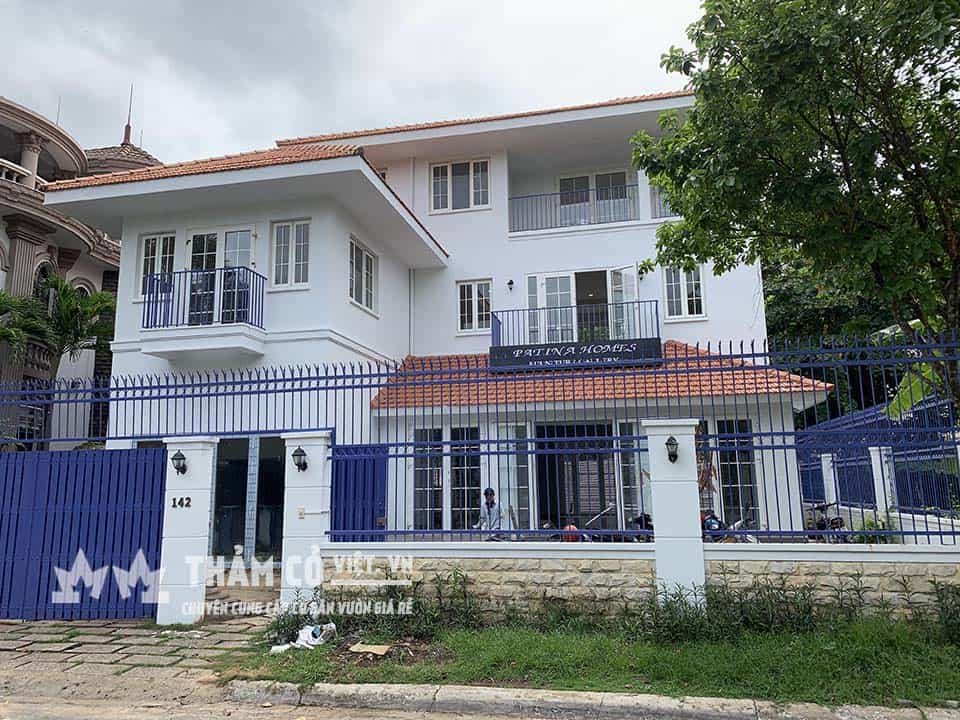 thảm cỏ xanh