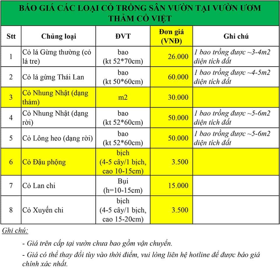 bảng giá các loại cỏ trồng sân vườn