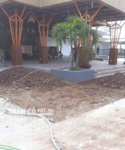 báo giá trồng cỏ nhật