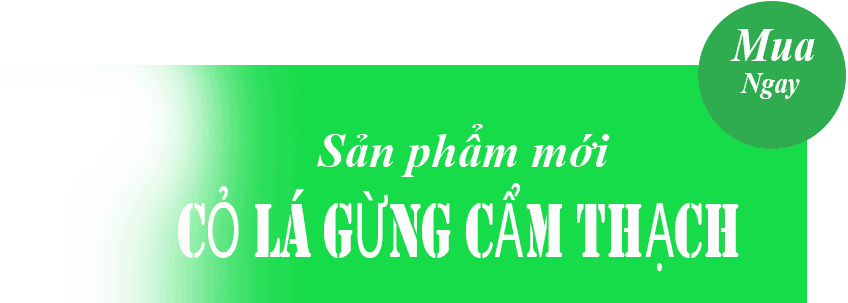 co gung cam thach