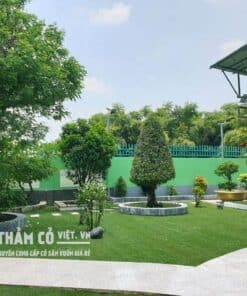 co-san-vuon-dep
