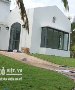 bán cỏ nhung nhật tốt nhất tphcm