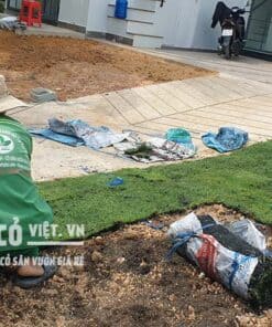 mua cỏ nhung nhật ở đâu tốt nhất