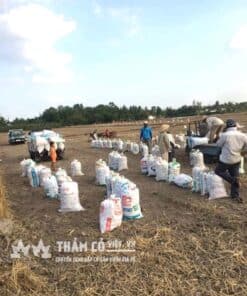 bao đất trồng cây