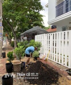 đất sạch trồng cây