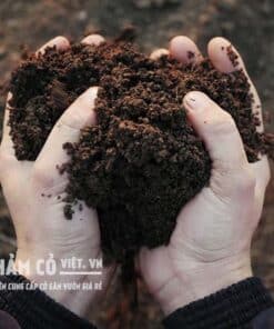 đất thịt trồng cây giá rẻ