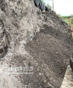 mua đất thịt trồng cây