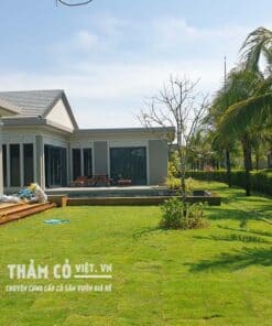 phân trộn hữu cơ