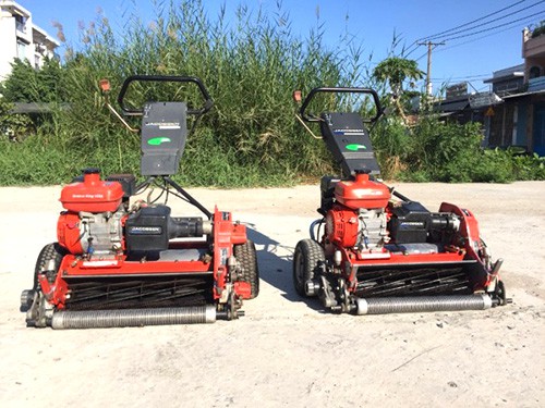 cỏ mỹ trồng sân vườn