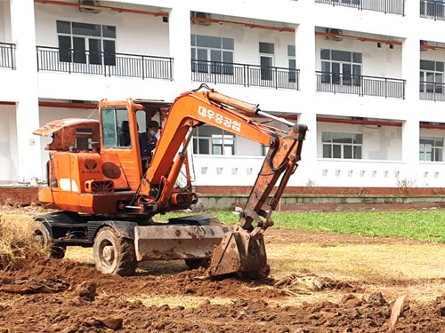 mua thảm cỏ tự nhiên