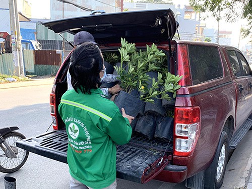 thi công cảnh quan sân vườn