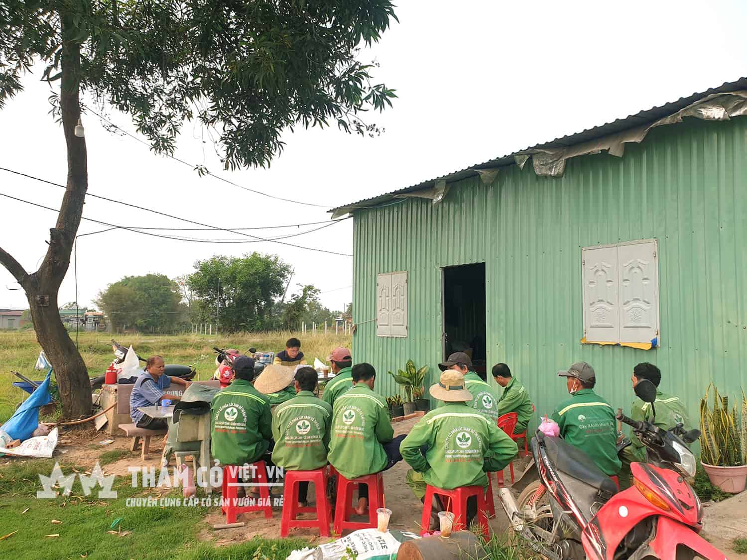 thi công cảnh quan