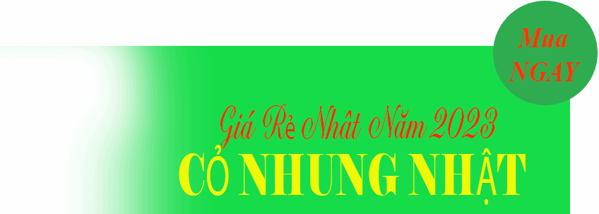 cỏ nhung nhật giá rẻ