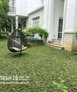 thi công cảnh quan