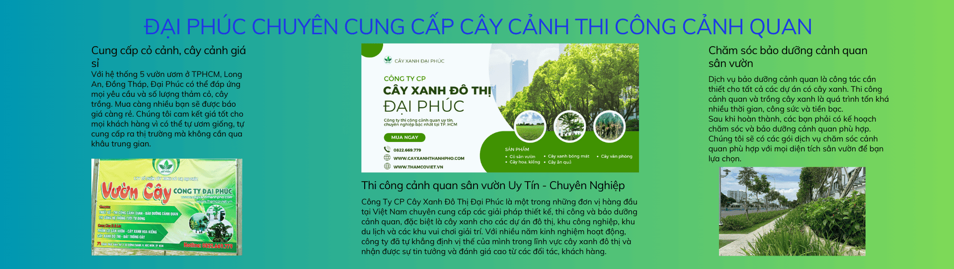 bán cây cảnh