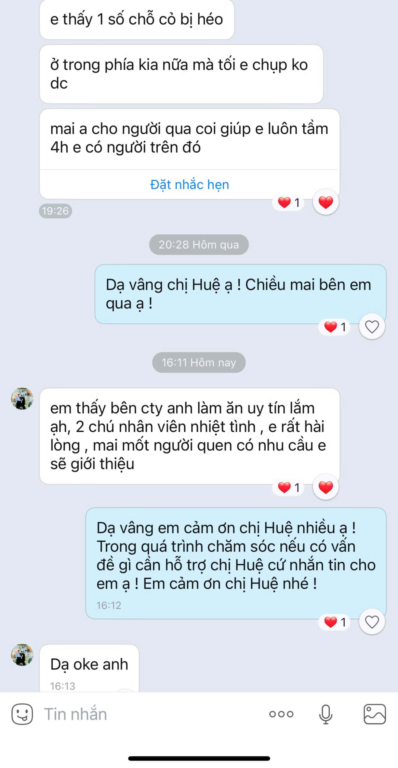 thảm cỏ sân vườn