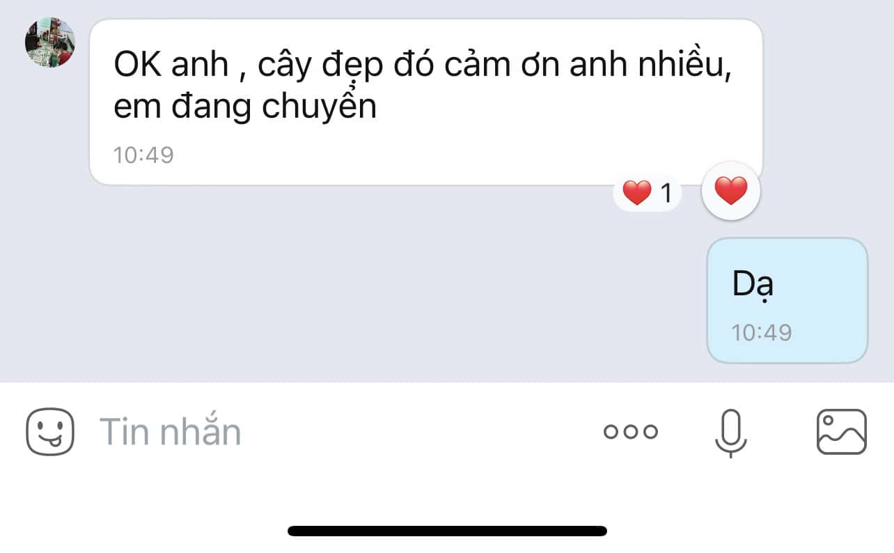 thảm cỏ tự nhiên
