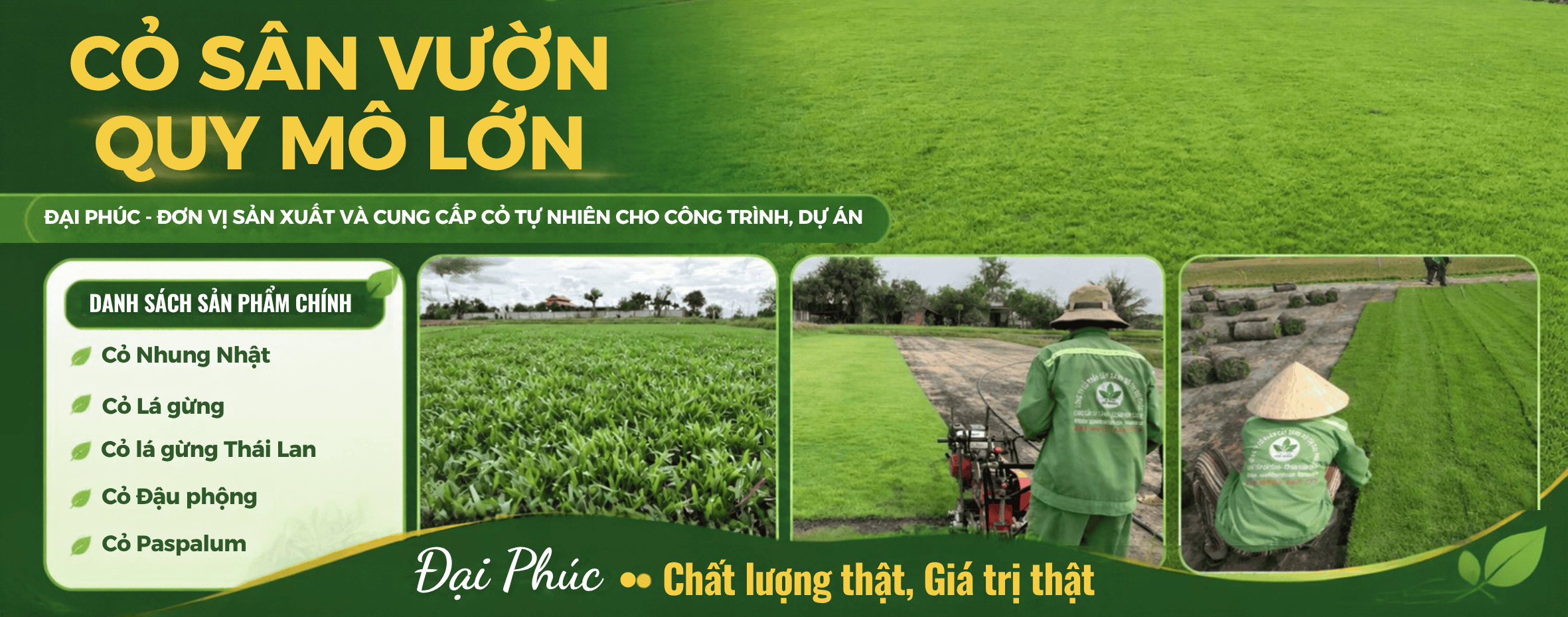 cỏ tự nhiên